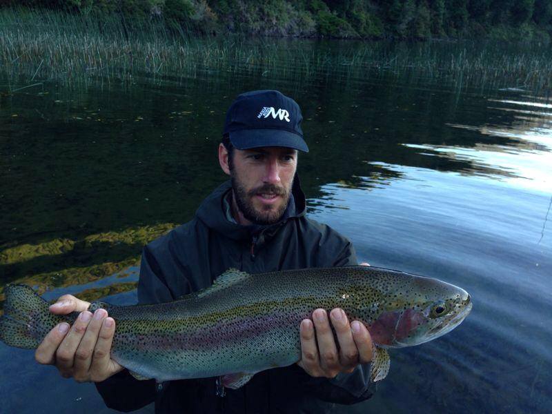 trucha arcoiris lago risatron trucha arcoiris lago risatron